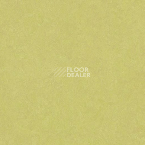 Линолеум Forbo Marmoleum Marbled Fresco 3885-388535 spring buds фото 1 | FLOORDEALER